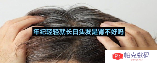 年纪轻轻就长白头发是肾不好吗