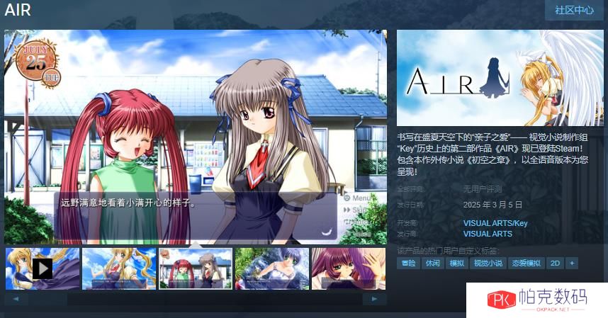 视觉小说《AIR》Steam商店页面 3月5日发售