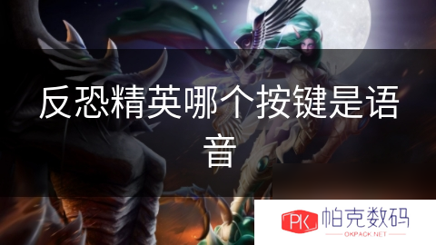 反恐精英哪个按键是语音