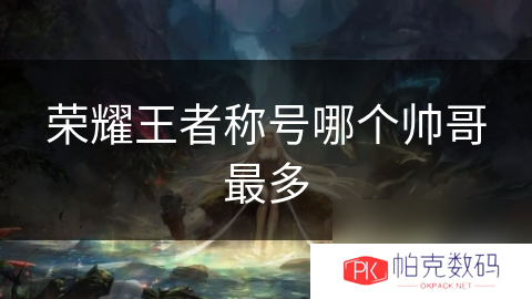 荣耀王者称号哪个帅哥最多