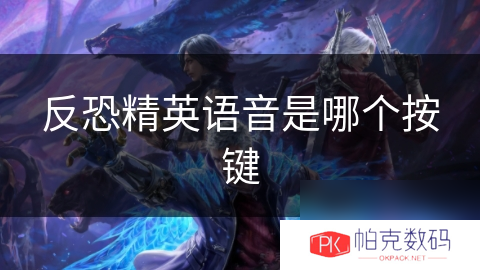 反恐精英语音是哪个按键