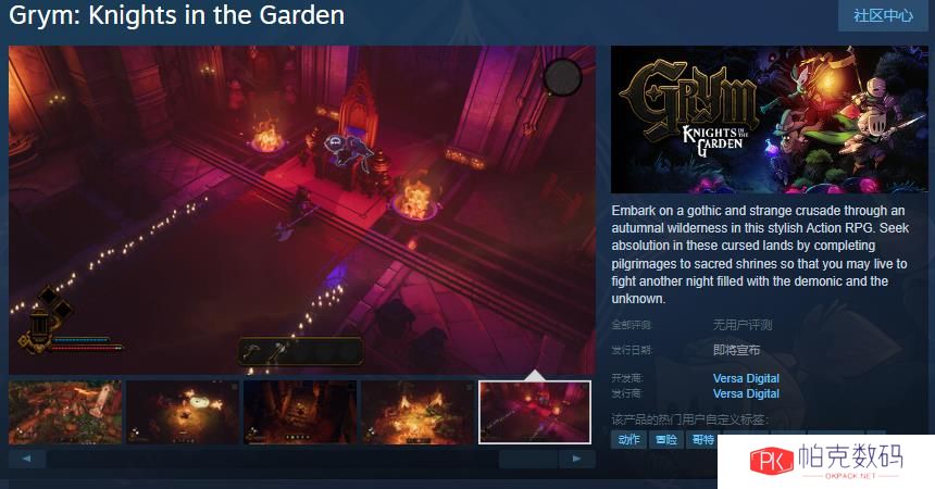 《Grym: Knights in the Garden》Steam页面开放 不支持中文